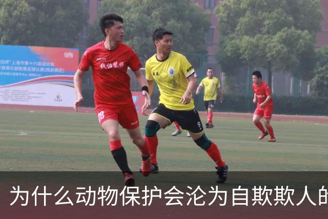为什么动物保护会沦为自欺欺人的道德表演