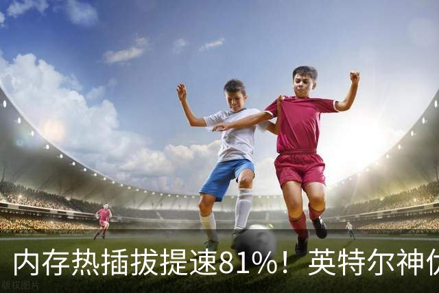 内存热插拔提速81%！英特尔神优化：512GB从36秒变7秒