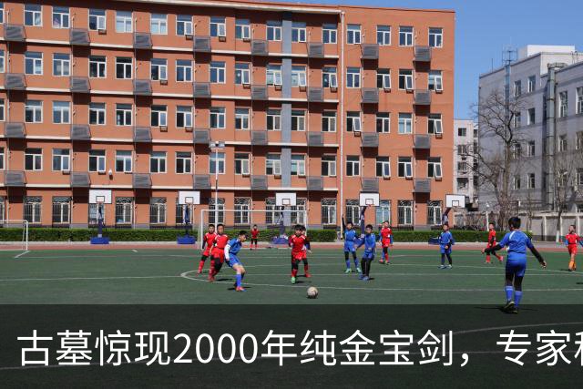 古墓惊现2000年纯金宝剑，专家称旁边那堆“废铁”价值更高