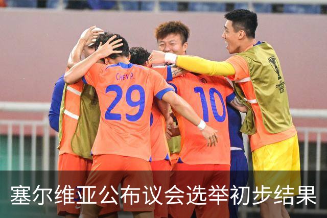 塞尔维亚公布议会选举初步结果