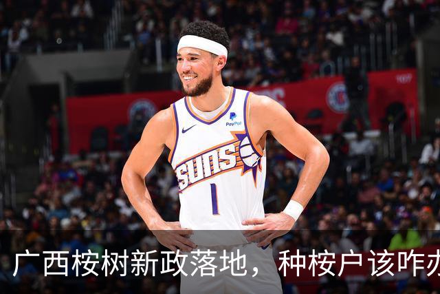 广西桉树新政落地，种桉户该咋办？