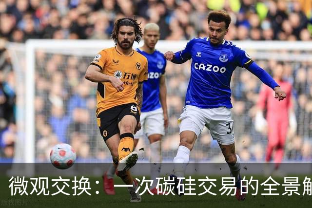 微观交换：一次碳硅交易的全景解剖