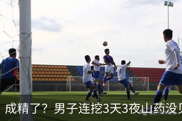 成精了？男子连挖3天3夜山药没见底，专家评估：或可卖出天价