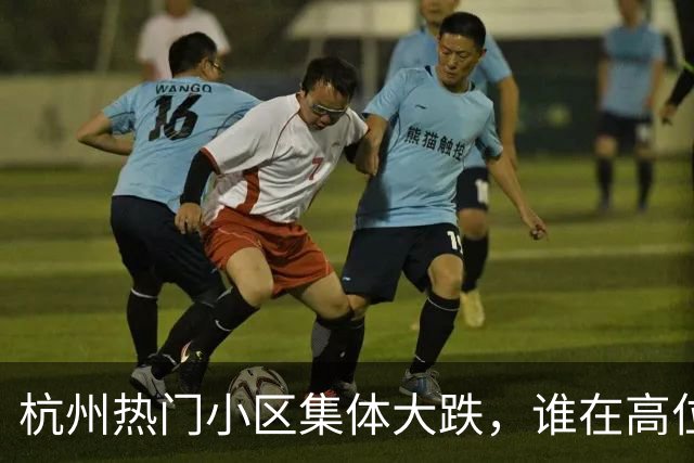 杭州热门小区集体大跌，谁在高位接盘？