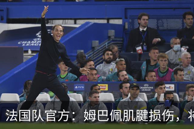 法国队官方：姆巴佩肌腱损伤，将返回马德里接受治疗