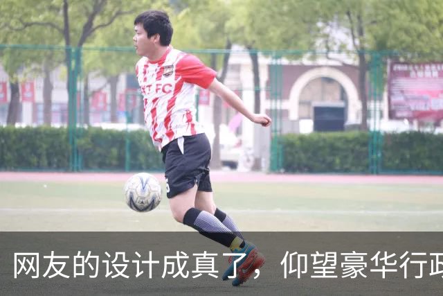 网友的设计成真了，仰望豪华行政轿车鼎曜真长这样，鼎字脸对开门