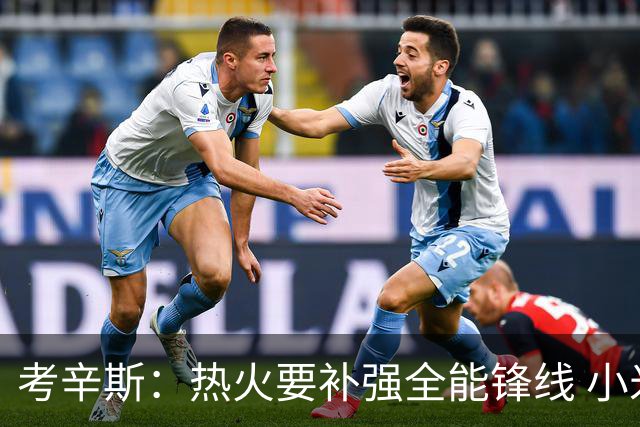 考辛斯：热火要补强全能锋线 小米切尔更适合防守尖兵定位