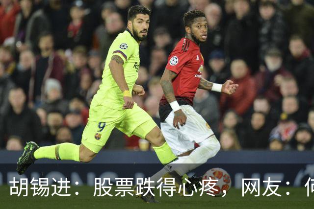 胡锡进：股票跌得心疼，网友：何止心疼，完全是肉疼
