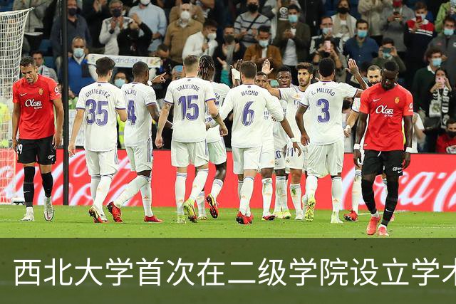 西北大学首次在二级学院设立学术副院长，近年多所高校以此培养年轻干部