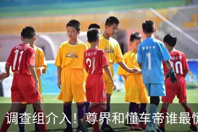 调查组介入！尊界和懂车帝谁最慌？