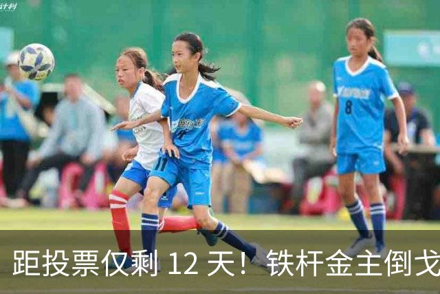 距投票仅剩 12 天！铁杆金主倒戈、重金回防红州，共和党拉响警报