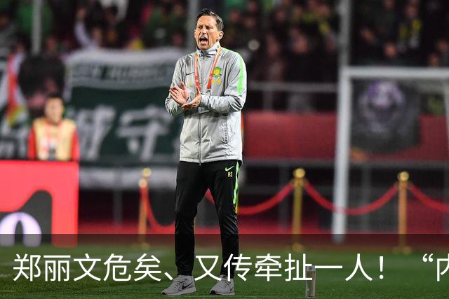郑丽文危矣、又传牵扯一人！“内鬼”们落井下石，要联手夺她的权