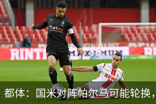 都体：国米对阵帕尔马可能轮换，普罗维德尔有望首发