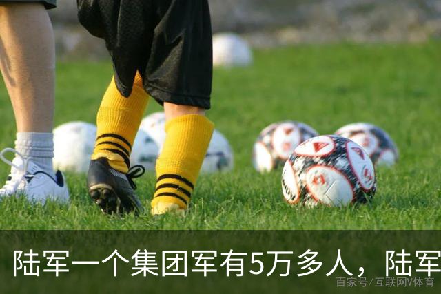 陆军一个集团军有5万多人，陆军却有95万人，到底怎么回事