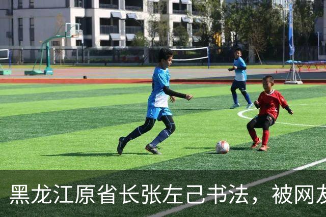 黑龙江原省长张左己书法，被网友们夸上了天，懂行的人却说：不止这水平