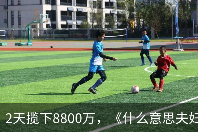 2天揽下8800万，《什么意思夫妇》蝉联亚军，和贾玲比，沈春阳还是差点意思