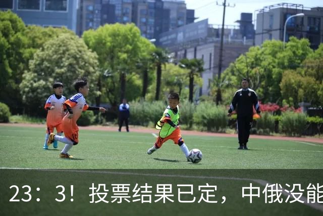 23：3！投票结果已定，中俄没能拦住，伊朗划下新禁区