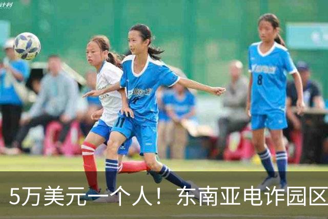 5万美元一个人！东南亚电诈园区明码标价，中国大学生成了新猎物